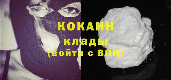 индика Белокуриха