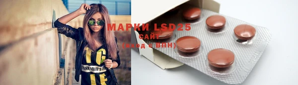 индика Белокуриха