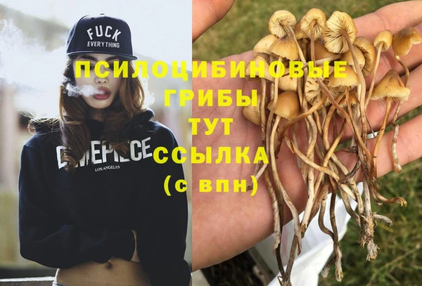 бошки Богородск