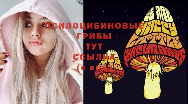 мет Богданович