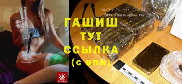 индика Белокуриха
