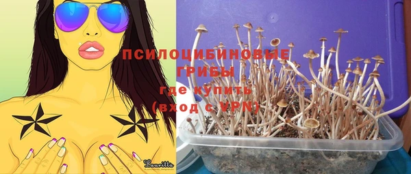 трава Беломорск
