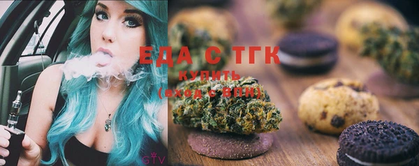 индика Белокуриха
